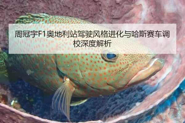 周冠宇F1奥地利站驾驶风格进化与哈斯赛车调校深度解析