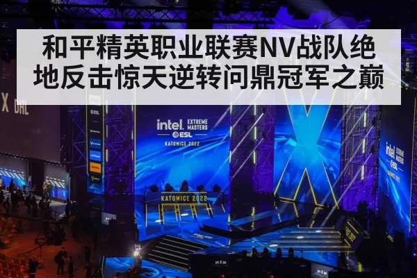 和平精英职业联赛NV战队绝地反击惊天逆转问鼎冠军之巅